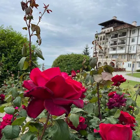 Sea View Apartament In Garden Of Eden Apartment *